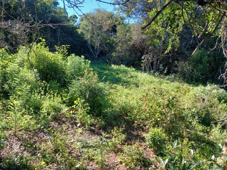 0 Bedroom Property for Sale in Bathurst Eastern Cape